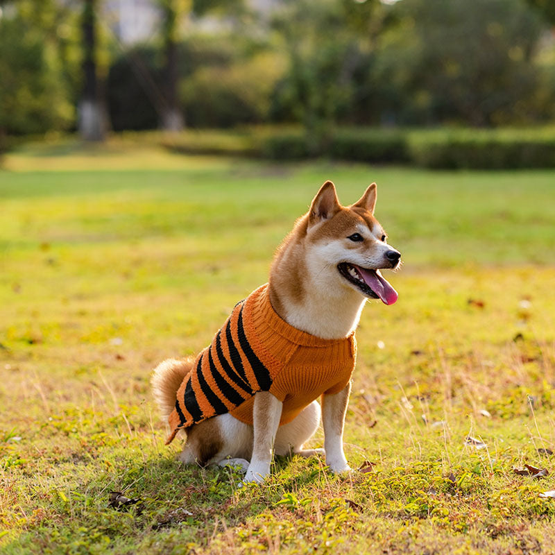 Halloween Dog Sweaters Pet Costume Teddy Warm Leisure